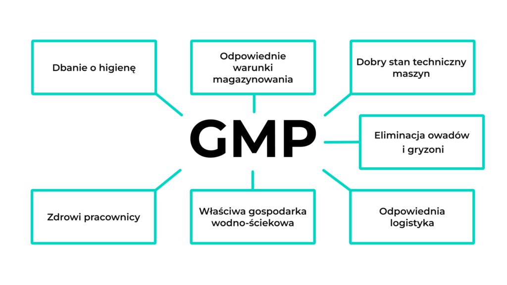 gmp szkolenie